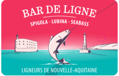 pins bar de ligne 234x150