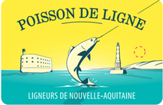 pins poisson de ligne 233x150