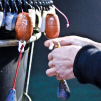 24012018-DSC_0457-768x768