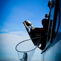 24012018-DSC_0558-768x768