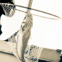 24012018-DSC_0580-768x768